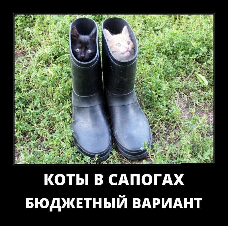 БЮДКЕТН ЫЙ ВАРИАНТ