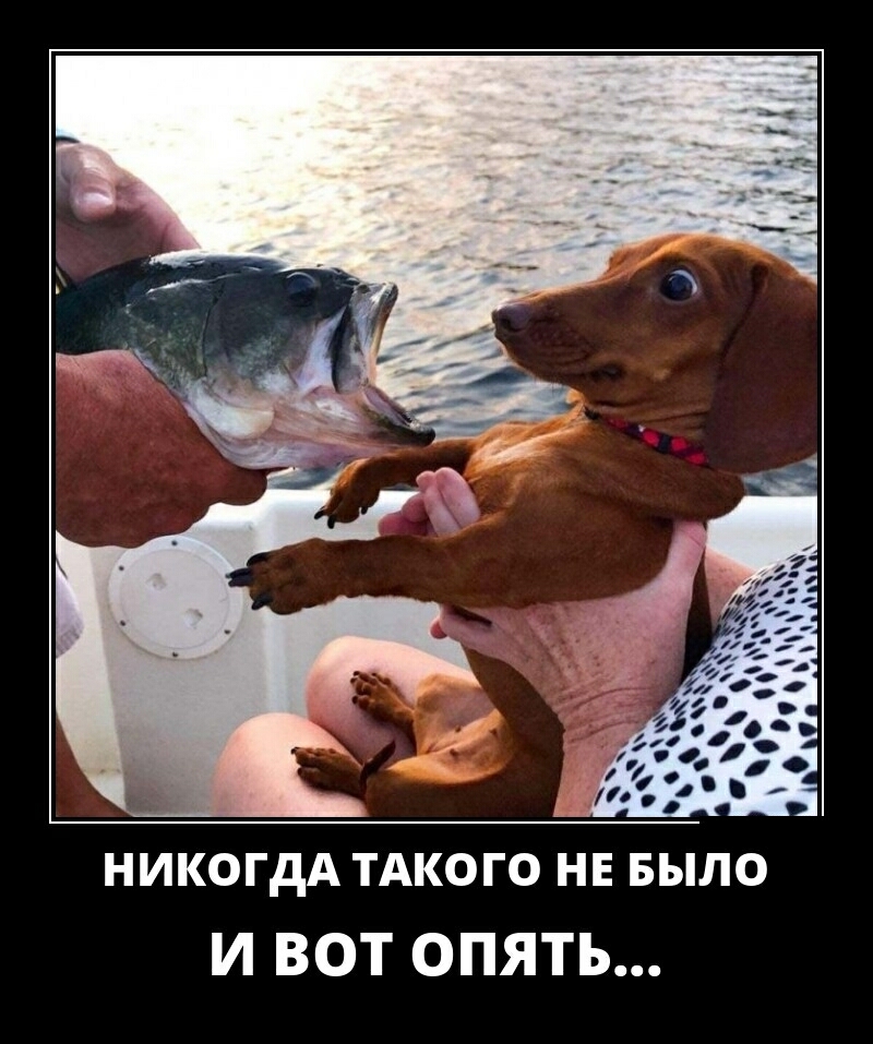 И ВОТ ОПЯТЬ