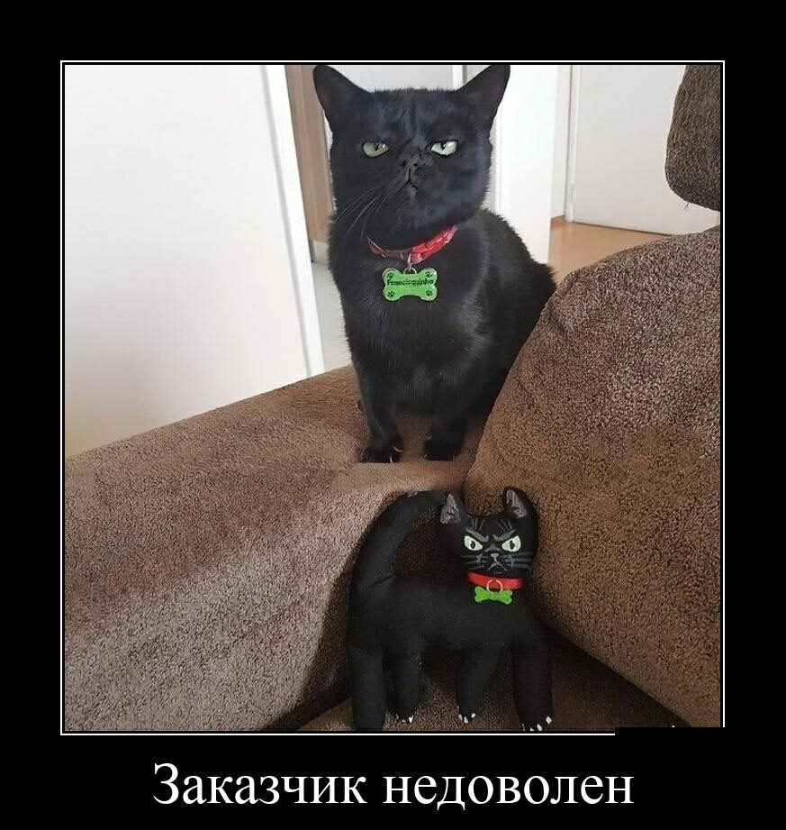 Заказчик недоволен