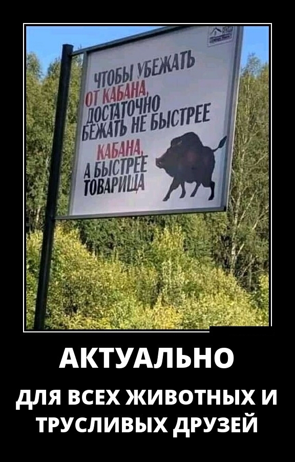 АКТУАЛ ЬН 0 дЛЯ ВСЕХ ЖИВОТНЫХ И ТРУСЛИВЫХ дРУЗЕЙ