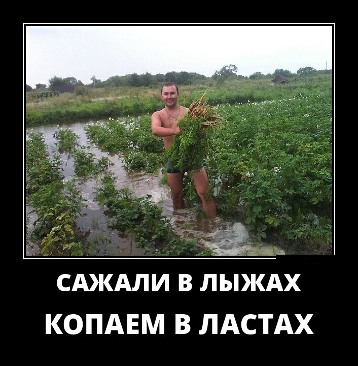 САКАЛИ В ЛЫЖАХ КОПАЕМ В ЛАСТАХ