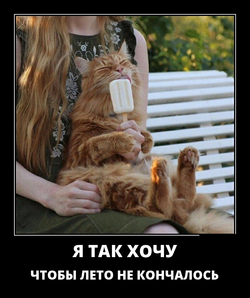 Я ТАК ХОЧУ чтовы лвто нв кончдлось