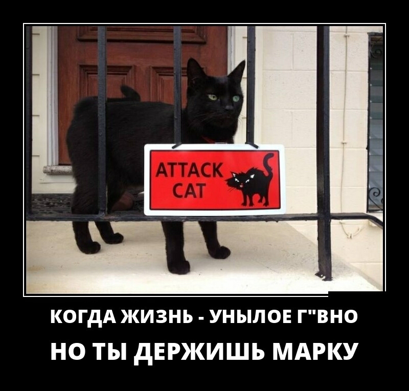 когдА жизнь унылон гвно НО ТЫ дЕРЖИШЬ МАРКУ