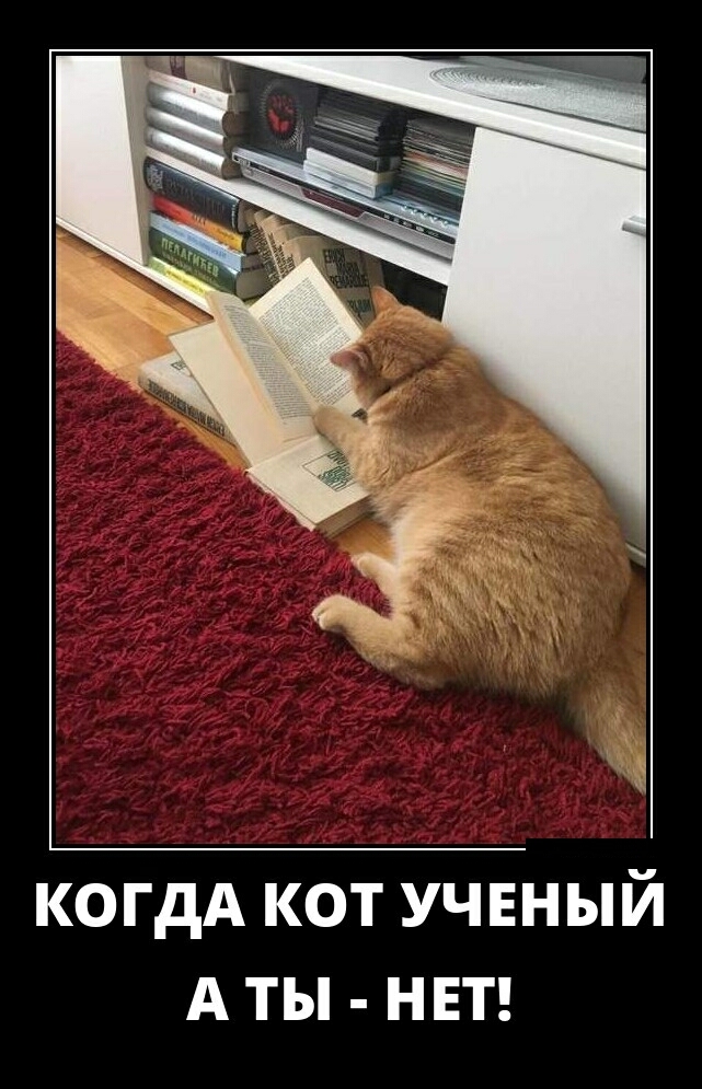 КОГДА КОТ УЧЕНЫЙ А ТЫ НЕТ