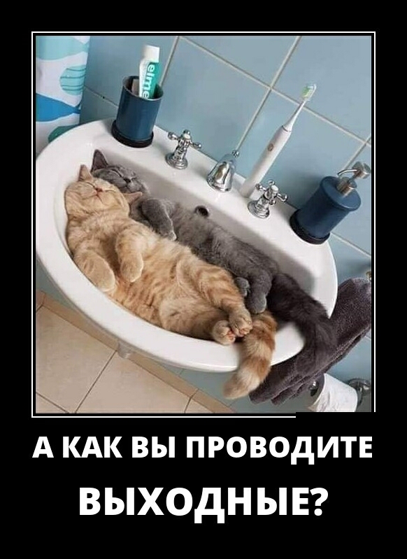 А КАК вы проводитв ВЫХОдН ы Е