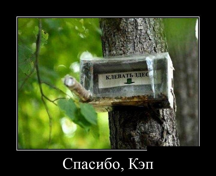 Спасибо Кэп