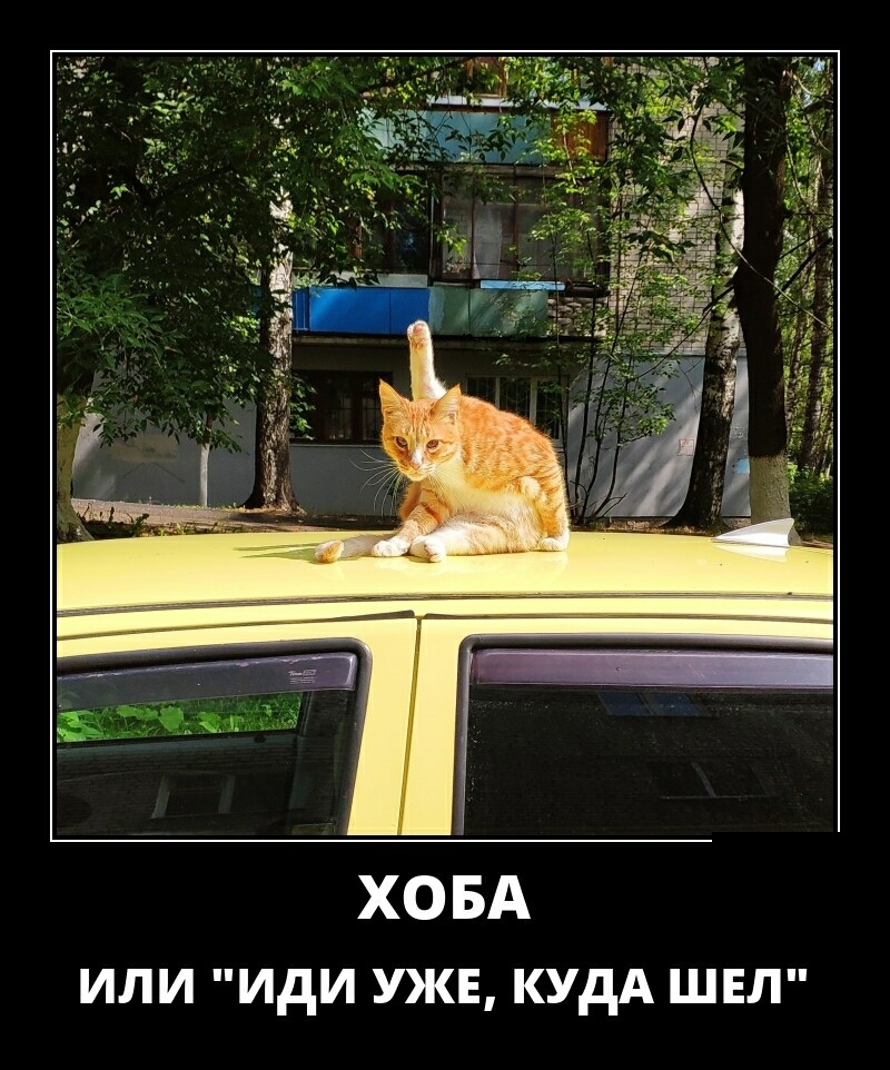 ХОБА или иди УЖЕ кудА швл