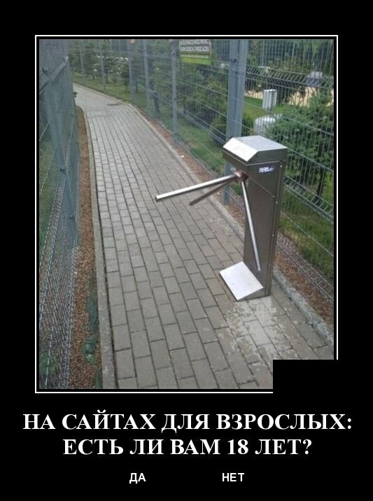 НА САЙТАХ ДЛЯ ВЗРОСЛЬТХ ЕСТЬ ЛИ ВАМ 18 ЛЕТ дА НЕТ