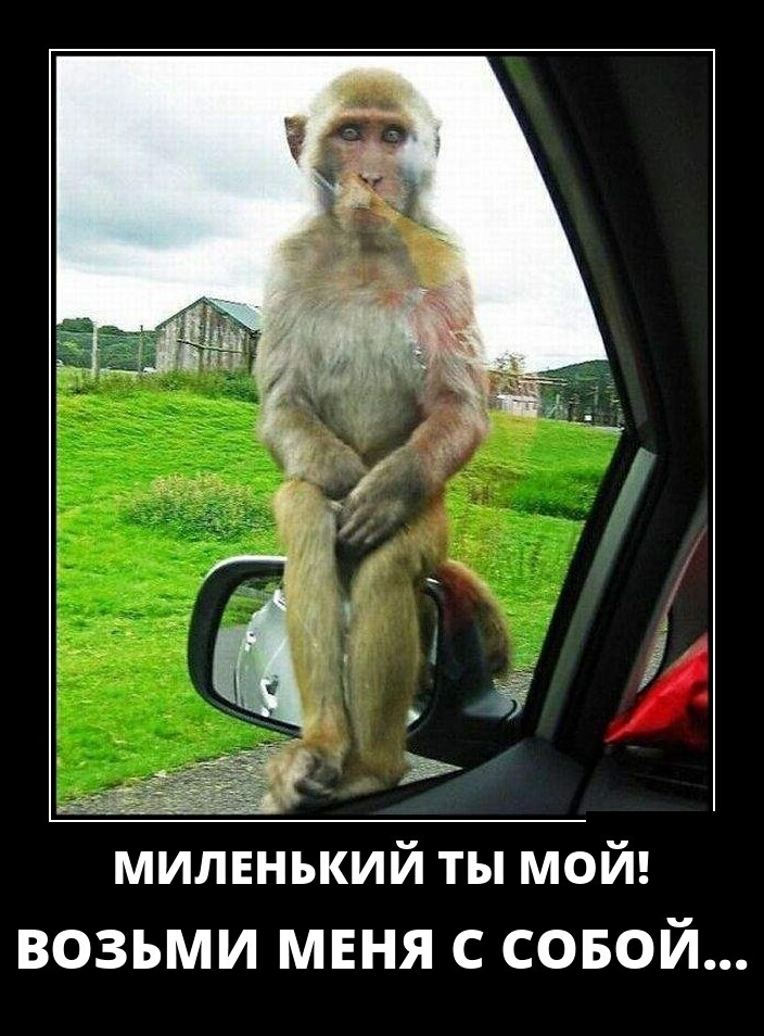 милннький ты мой ВОЗЬМИ МЕНЯ С СОБОЙ