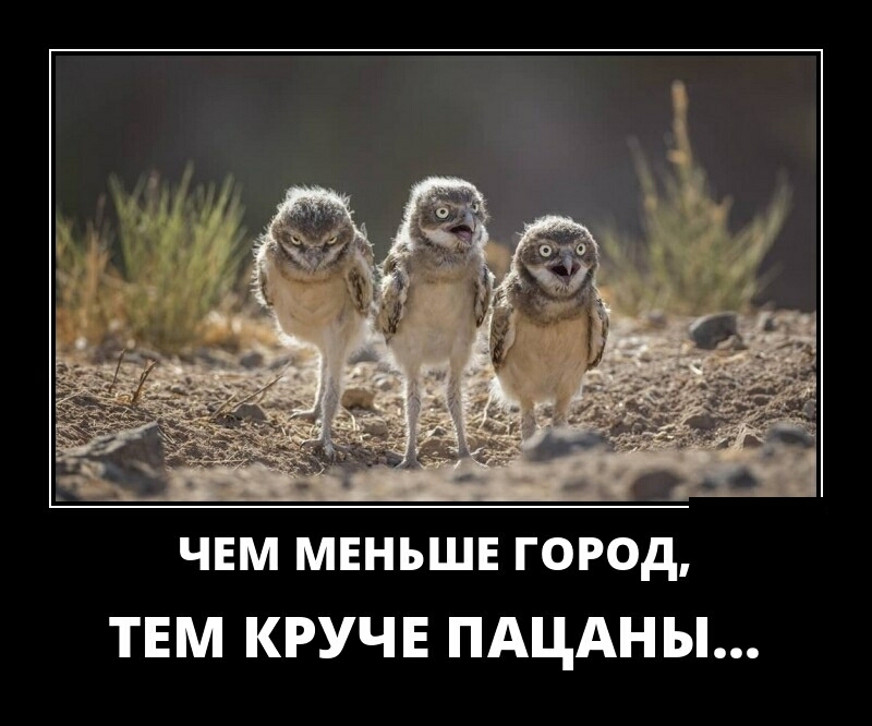 ЧЕМ МЕНЬШЕ ГОРОд ТЕМ КРУЧЕ ПАЦАНЫ