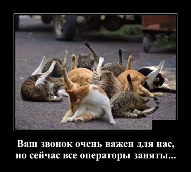 Ваш звонок очень важен для нас но сейчас все операторы заняты