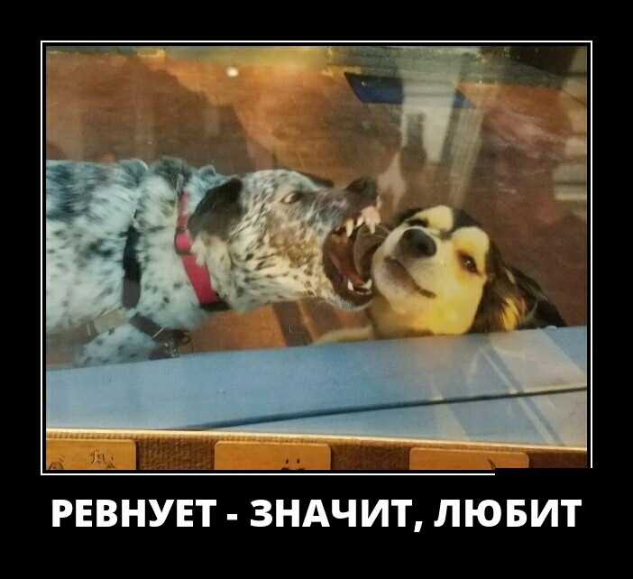 РЕВНУЕТ ЗНАЧИТ ЛЮБИТ