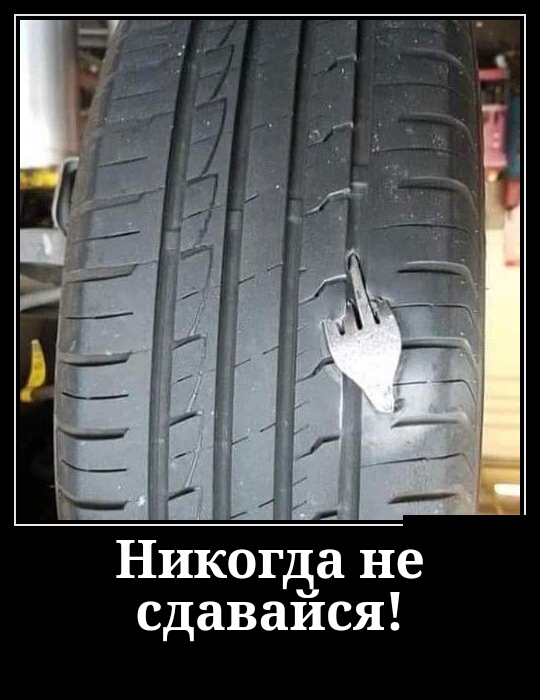 Никогда не сдаваися