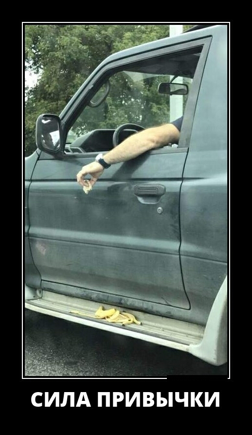 СИЛА ПРИВЫЧКИ