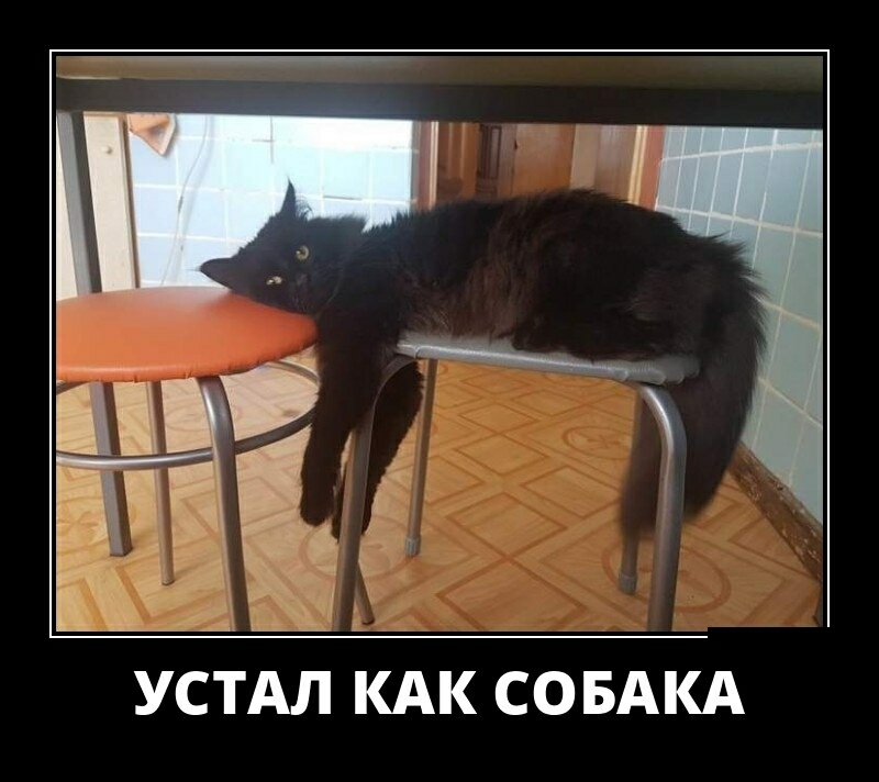 УСТАЛ КАК СОБАКА