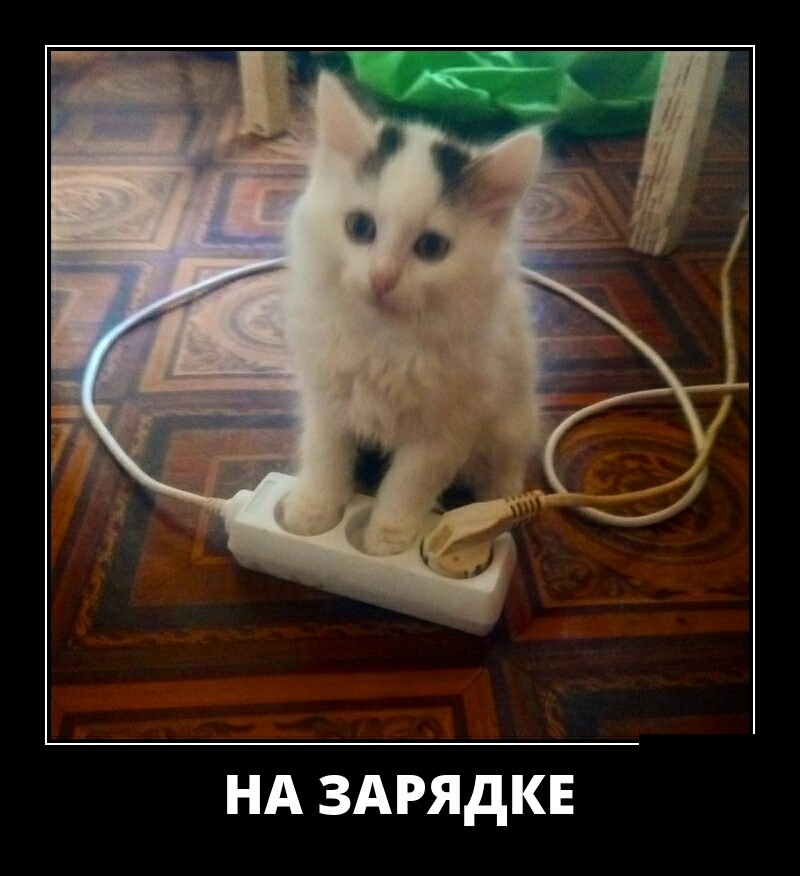НА ЗАРЯДКЕ