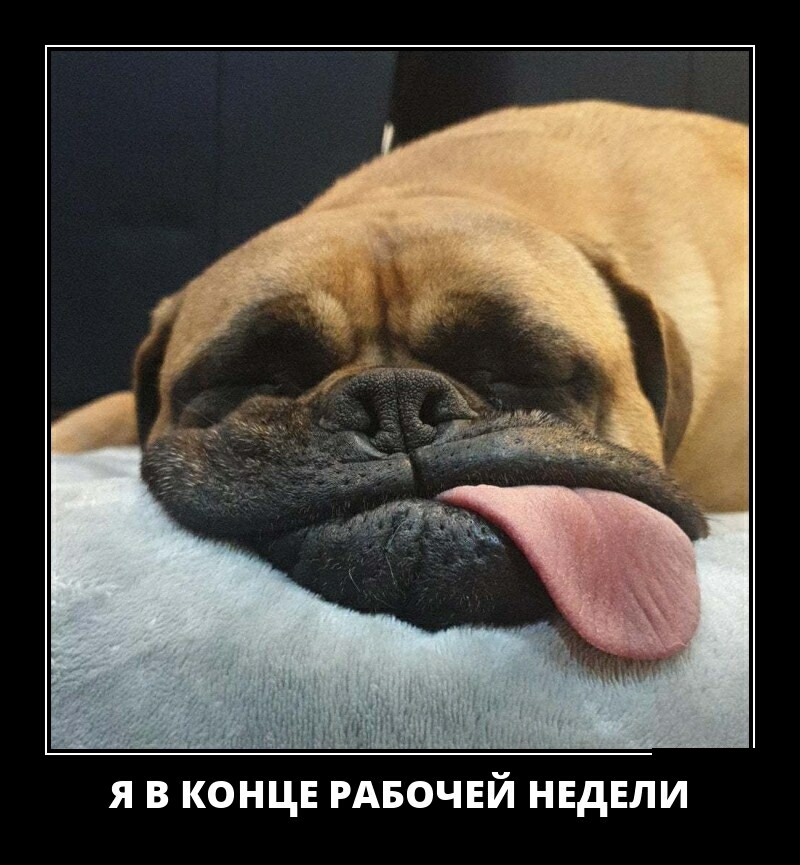 Я В КОНЦЕ РАБОЧЕЙ НЕДЕЛИ
