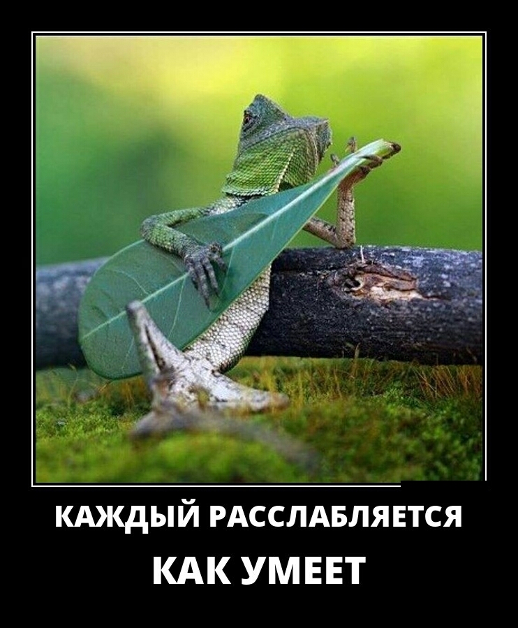 йкдждый РАССЛАБЛЯЕТСЯ КАК УМ ЕЕТ