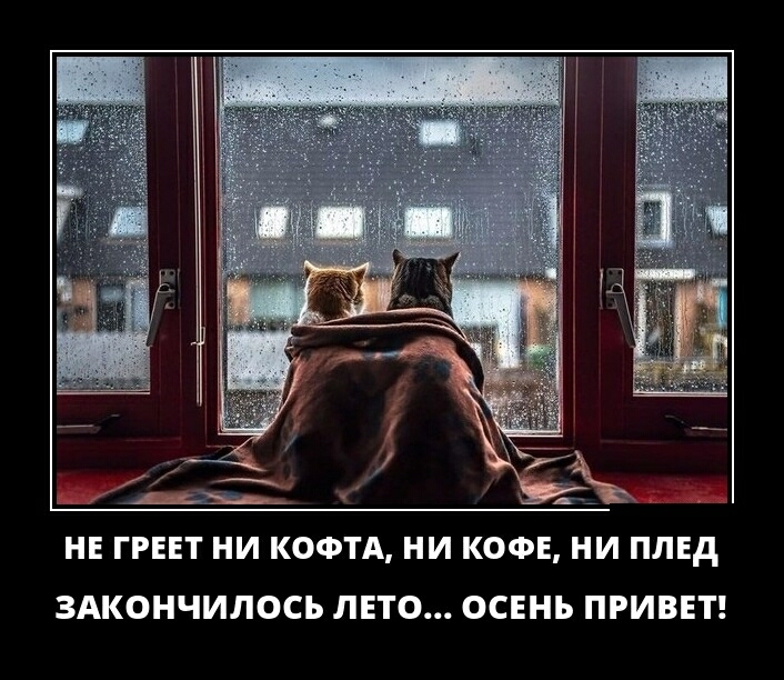 НЕ ГРЕЕТ НИ КОФТА НИ КОФЕ НИ ПЛЕд ЗАКОНЧИЛОСЬ ЛЕТО ОСЕНЬ ПРИВЕТ