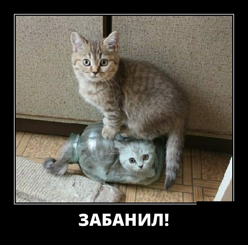 ЗАБАН ИЛ