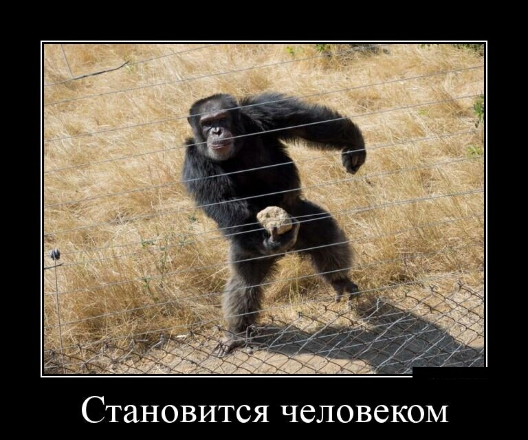 Становится человеком