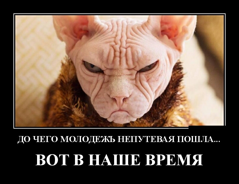 ДО ЧЕГО МОЛОДЕЖЬ НЕПУТЕВАЯ ПОШЛА ВОТ В НАШЕ ВРЕМЯ