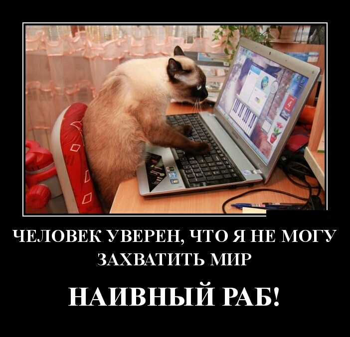 ЧЕЛОВЕК УВЕРЕН ЧТО Я НЕ МОГУ ЗАХВАТИТЬ МИР НАИВНЫЙ РАБ