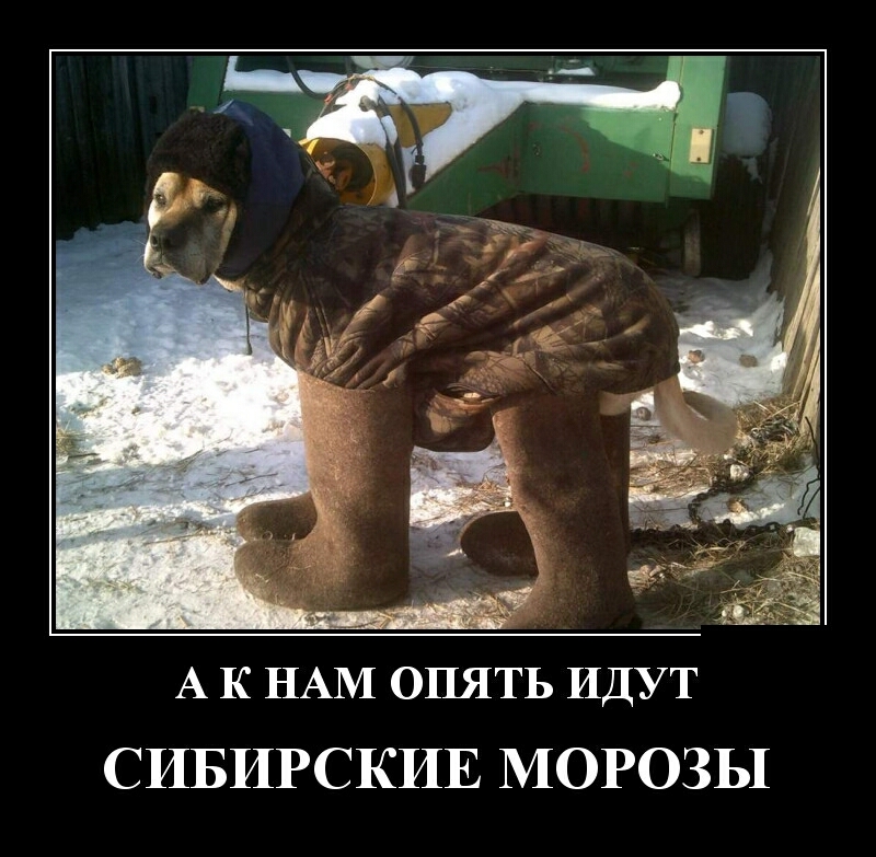 52 3 А К НАМ опять ИДУТ СИБИРСКИЕ МОРОЗЫ