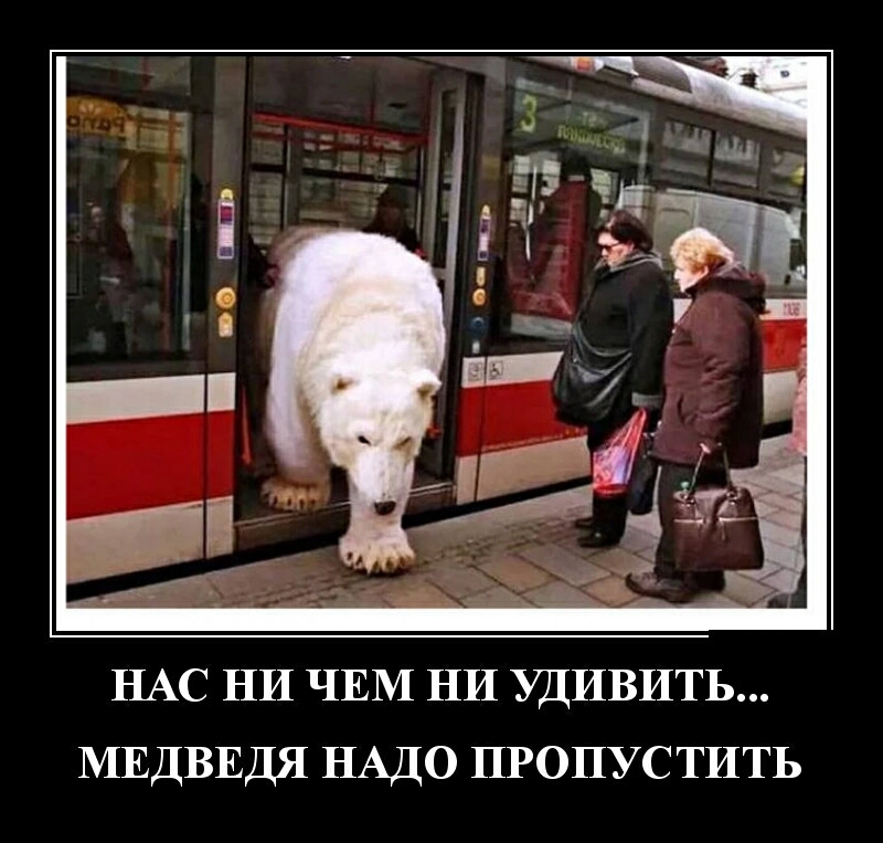 НАС НИ ЧЕМ НИ удивить МЕДВЕДЯ НАДО ПРОПУСТИТЬ