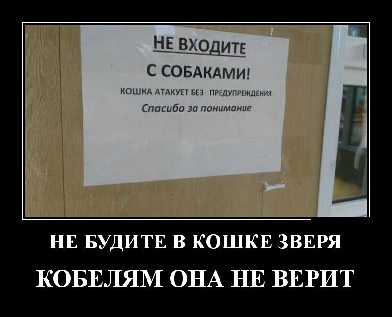 НЕ вхо ите с совдкдмид КОШКА АТАКУЕТ вез ПРЕДУПРЕждіния Спасибо за понимание Е _ ______ __ НЕ БУДИТЕ В КОШКЕ ЗВЕРЯ КОБЕЛЯМ ОНА НЕ ВЕРИТ