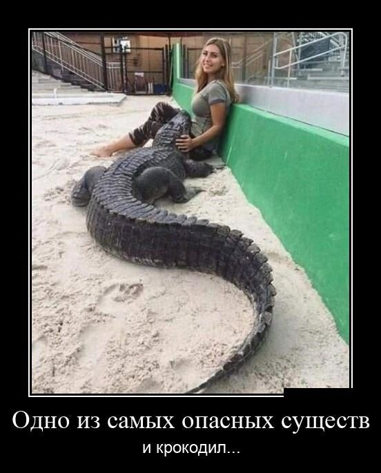 ОДНО ИЗ самых опасных СУЩССТВ И КРОКОДИП