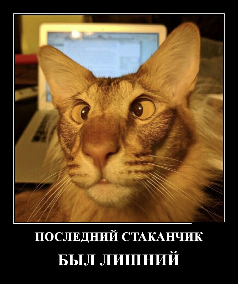 ПОСЛЕДНИЙ СТАКАНЧИК БЫЛ ЛИШНИЙ