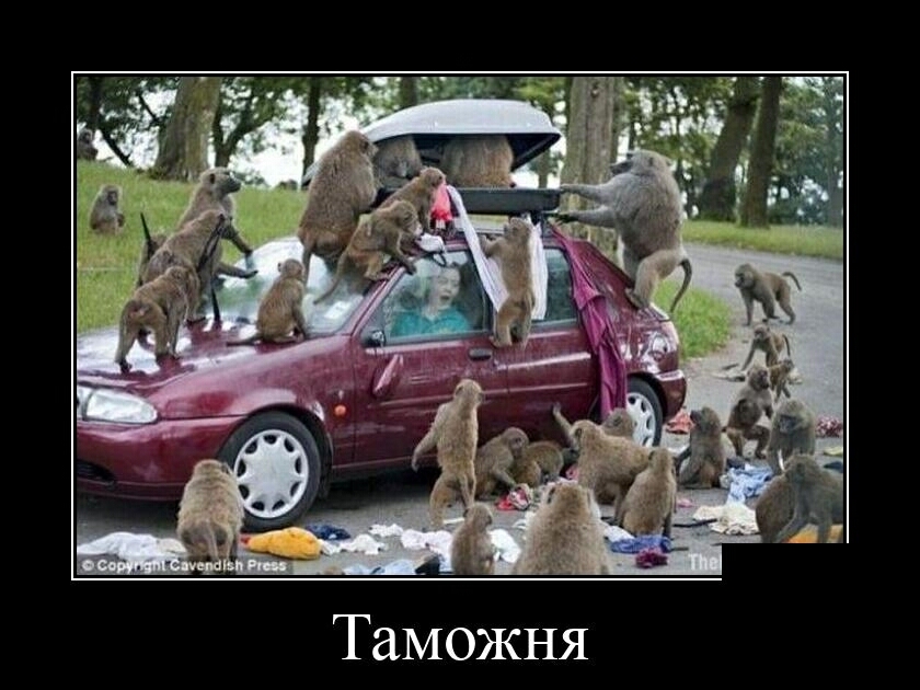 Таможня