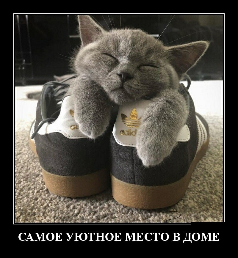 САМОЕ УЮТНОЕ МЕСТО В ДОМЕ