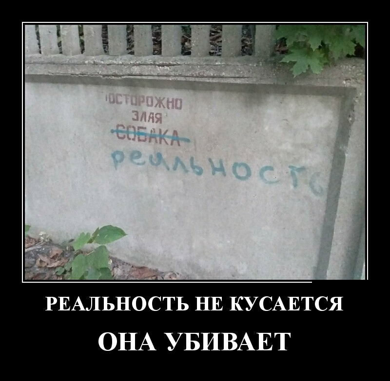 РЕАЛЬНОСТЬ НЕ КУСАЕТСЯ ОНА УБИВАЕТ