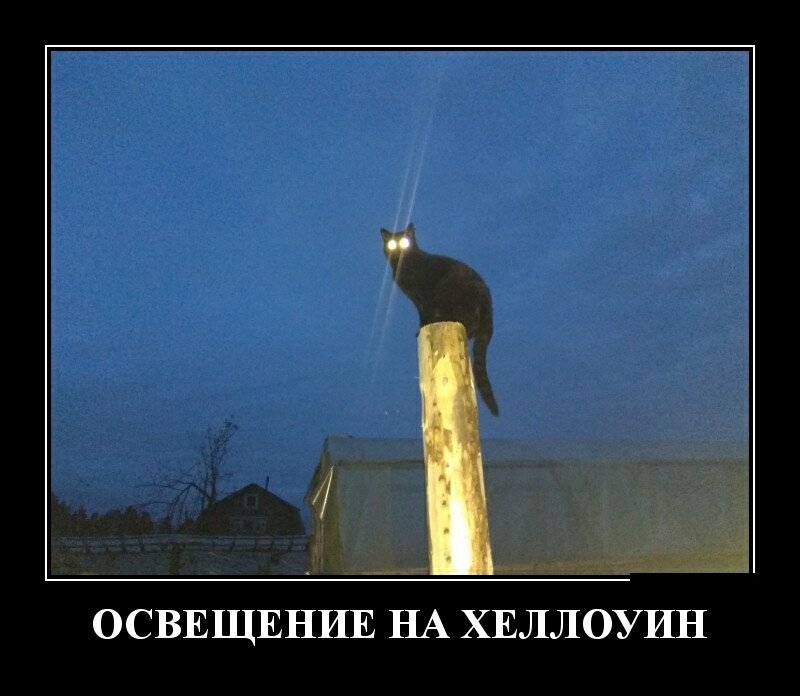 ОСВЕЩЕНИЕ НА ХЕЛЛОУИН