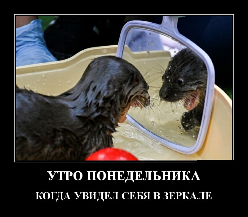УТРО ПОНЕДЕЛЬНИКА КОГДА УВИДЕЛ СЕБЯ в ЗЕРКАЛЕ