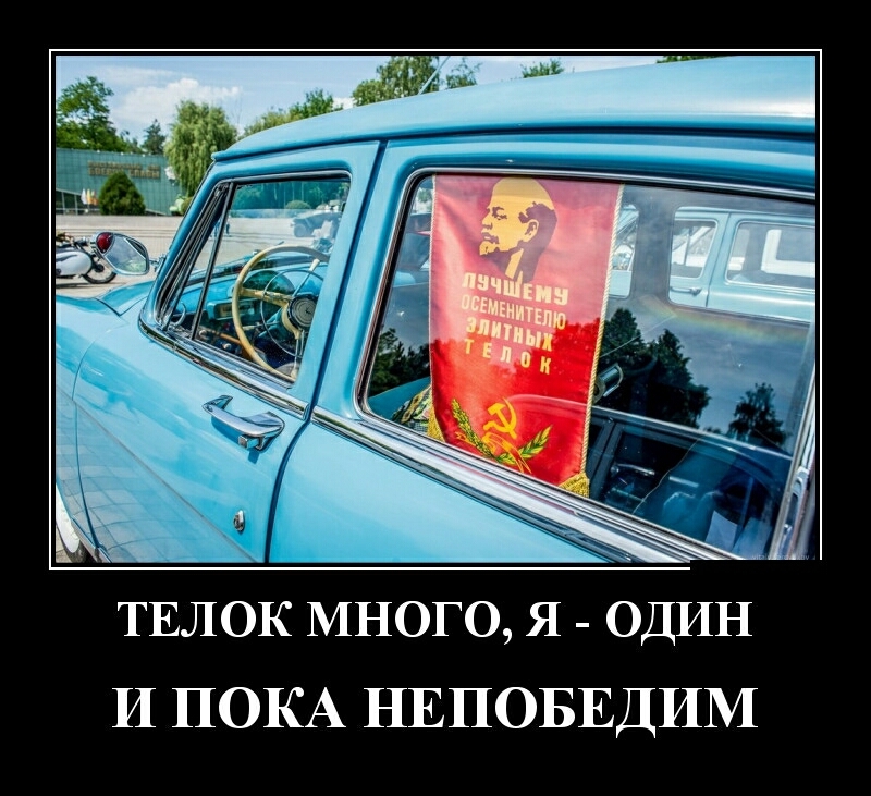 ТЕЛОК МНОГО Я ОДИН И ПОКА НЕПОБЕДИМ