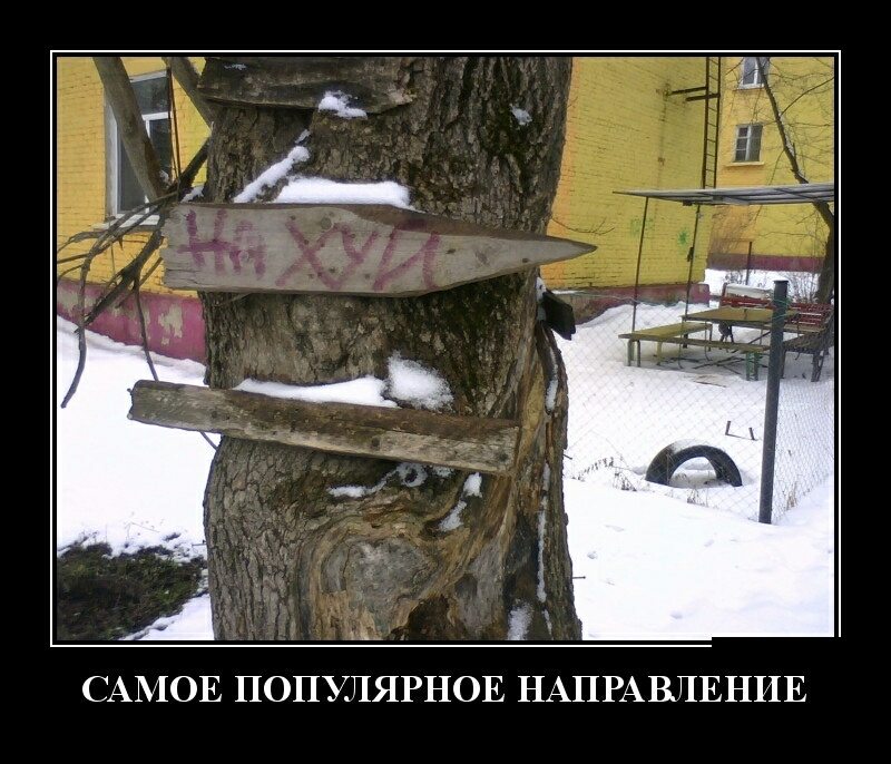 САМОЕ ПОПУЛЯРНОЕ НАПРАВЛЕНИЕ