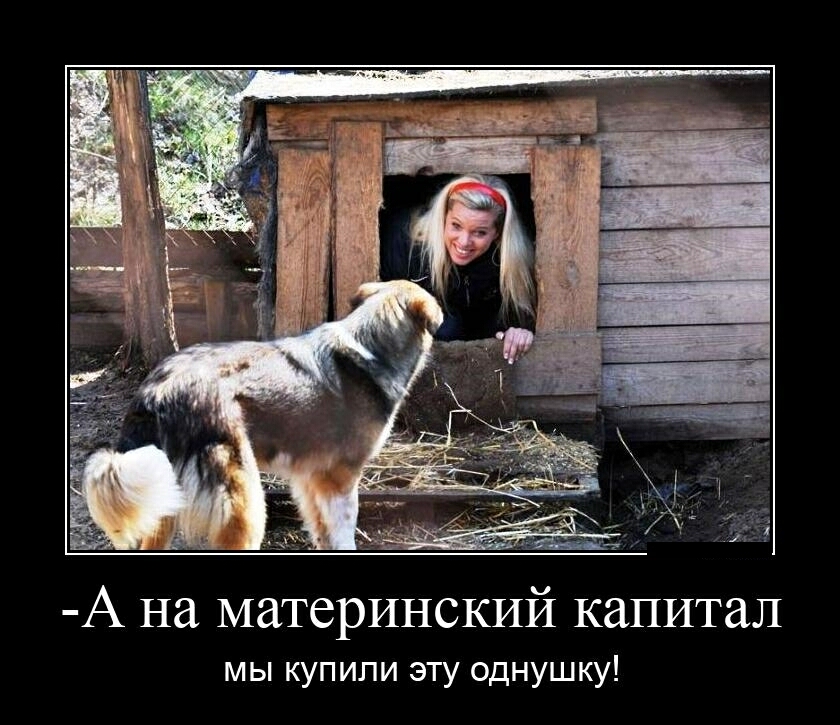 А на материнский капитал мы купили эту однушку