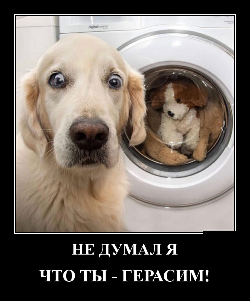 НЕ ДУМАЛ Я ЧТО ТЫ ГЕРАСИМ