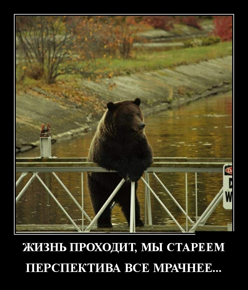 ЖИЗНЬ ПРОХОДИТ МЫ СТАРЕЕМ ПЕРСПЕКТИВА ВСЕ МРАЧНЕЕ