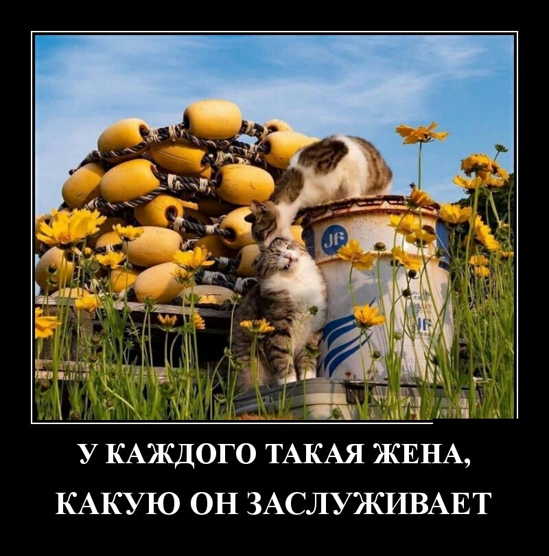 щ Ё _ у КАЖДОГО ТАКАЯ ЖЕНА КАКУЮ ОН ЗАСЛУЖИВАЕТ