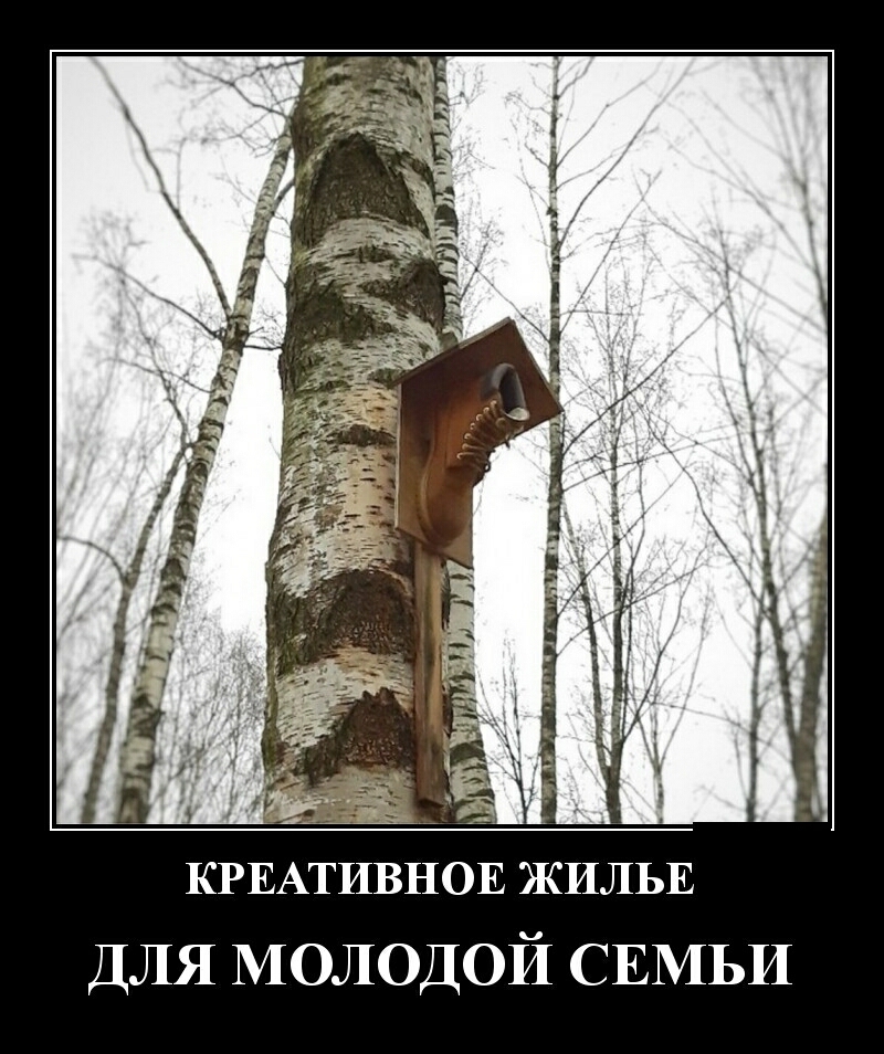 ДЛЯ МОЛОДОЙ СЕМЬИ