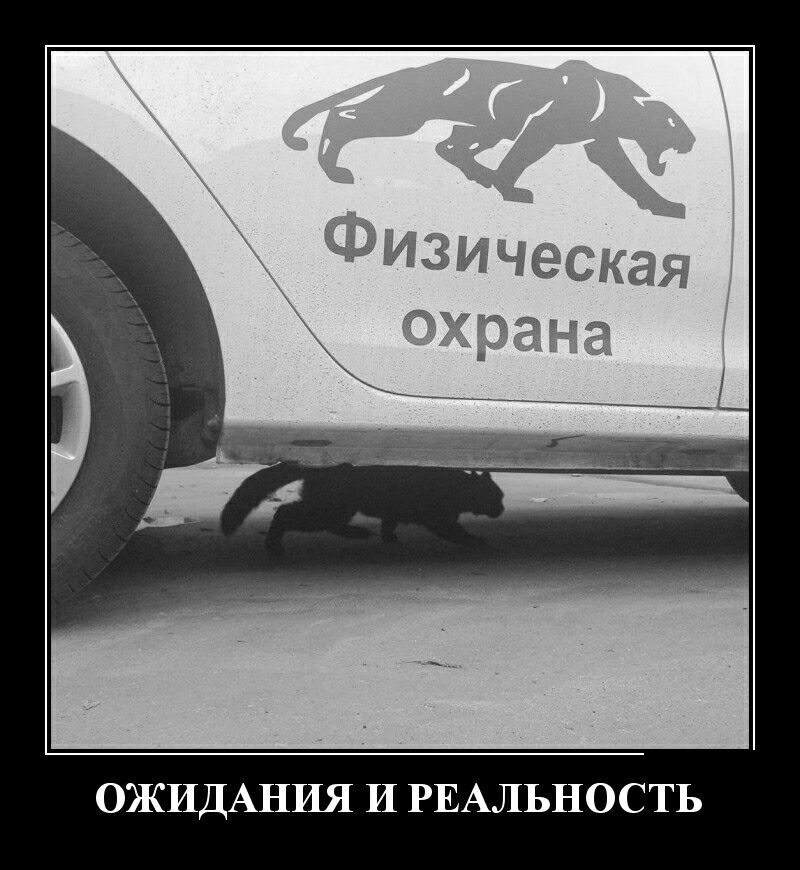 ый ОЖИДАНИЯ И РЕАЛЬНОСТЬ