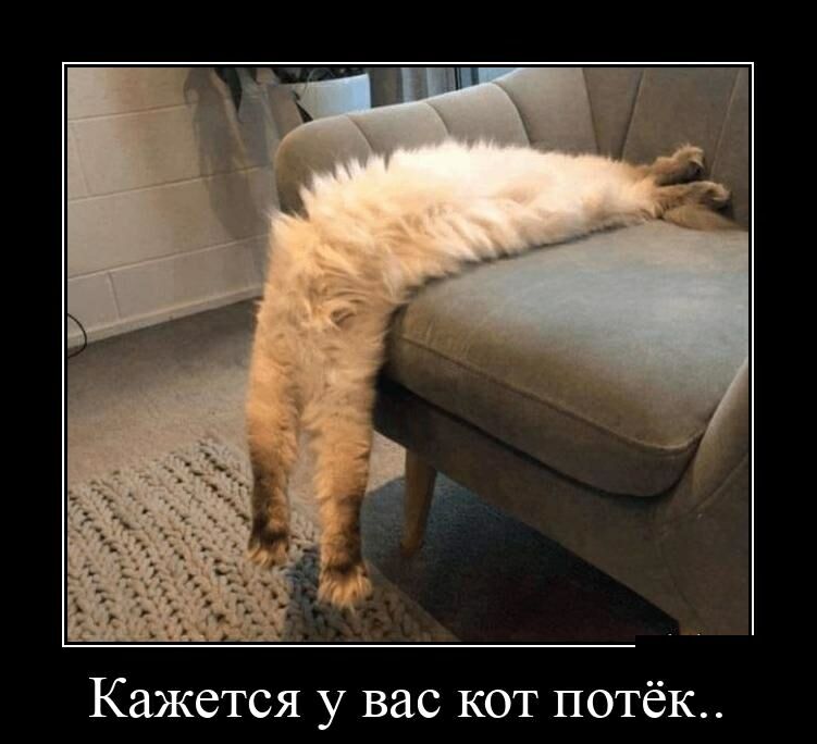 Кажется у вас кот потёк