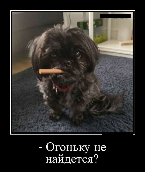 Огоньку не найдется