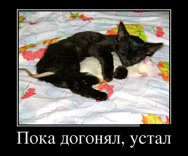 Пока догонял устал