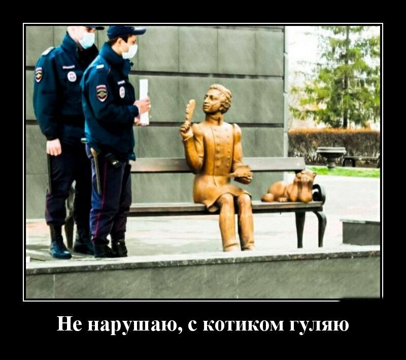 Не нарушаю с котиком гуляю