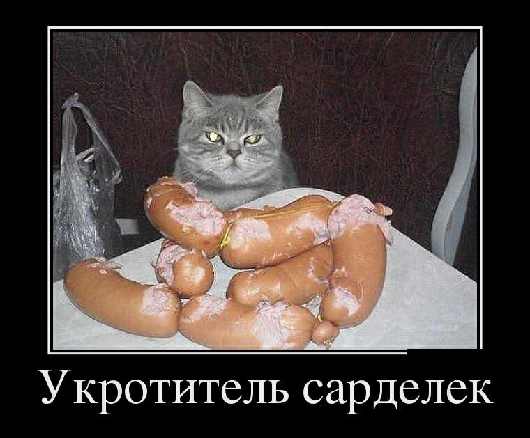 УКРОТИТСЛЬ СРДСЛСК